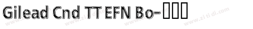 Gilead Cnd TT EFN Bo字体转换 Gilead Cnd TT EFN Bo字体转换